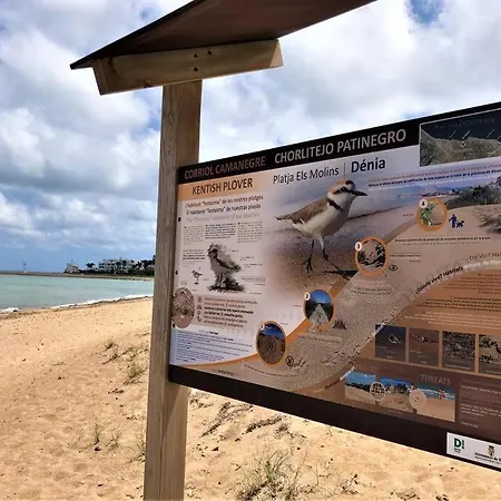 Las-olas-en-denia Dénia